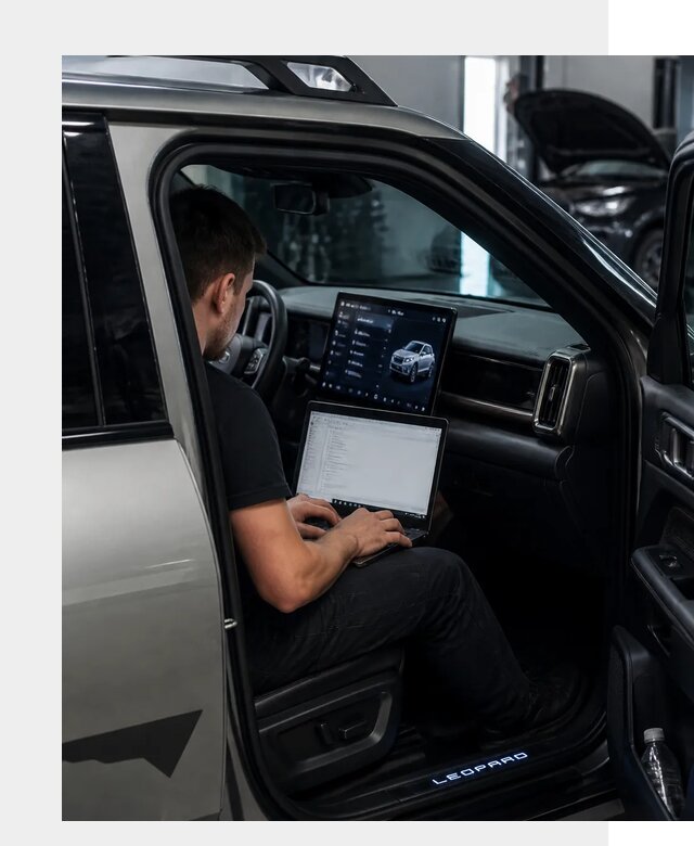 Русификация BYD Leopard 3 в Томске по цене от 21745 р. | ФастМобиль-Тмс